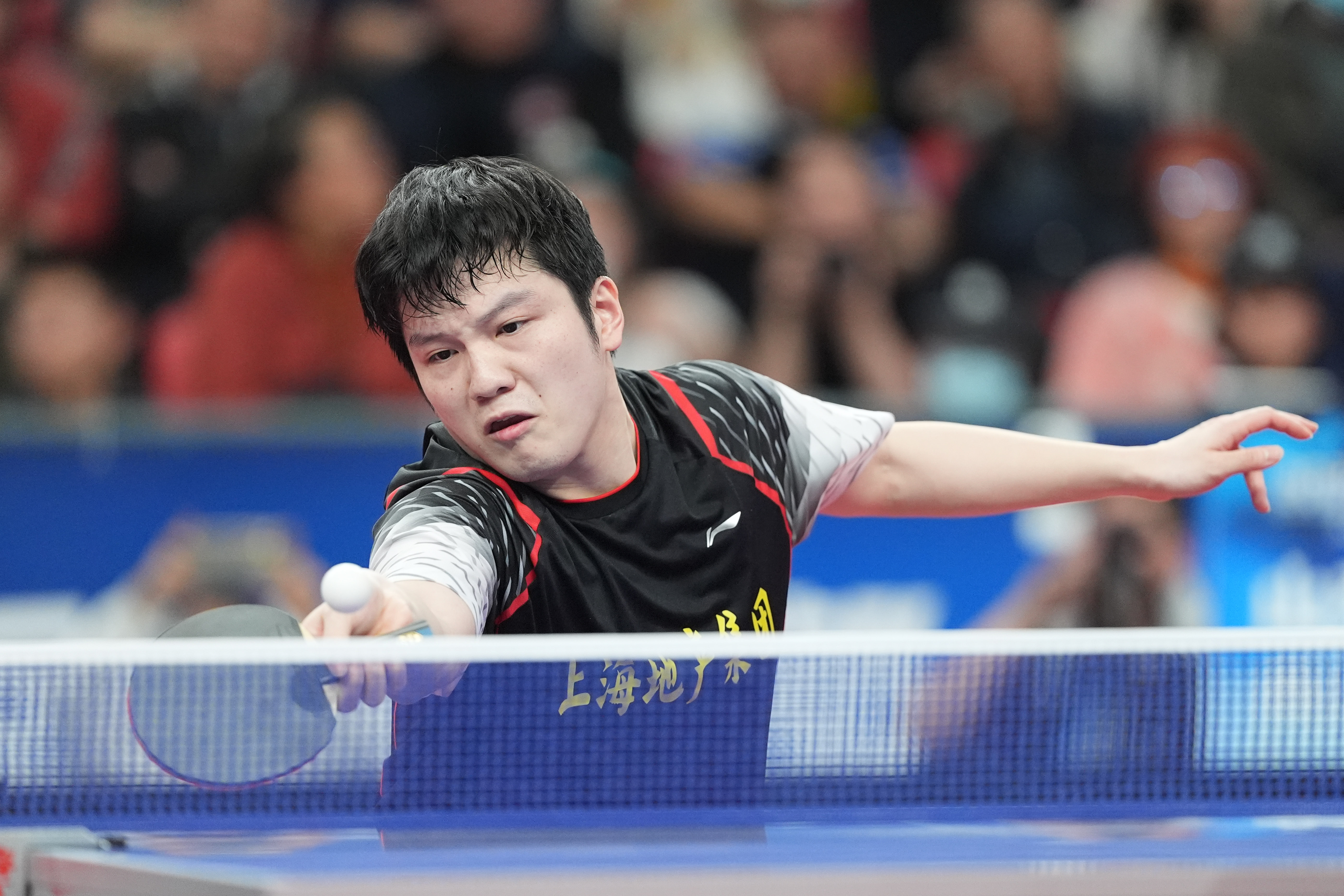 奥地利队轻取英格兰队，樊振东状态火热