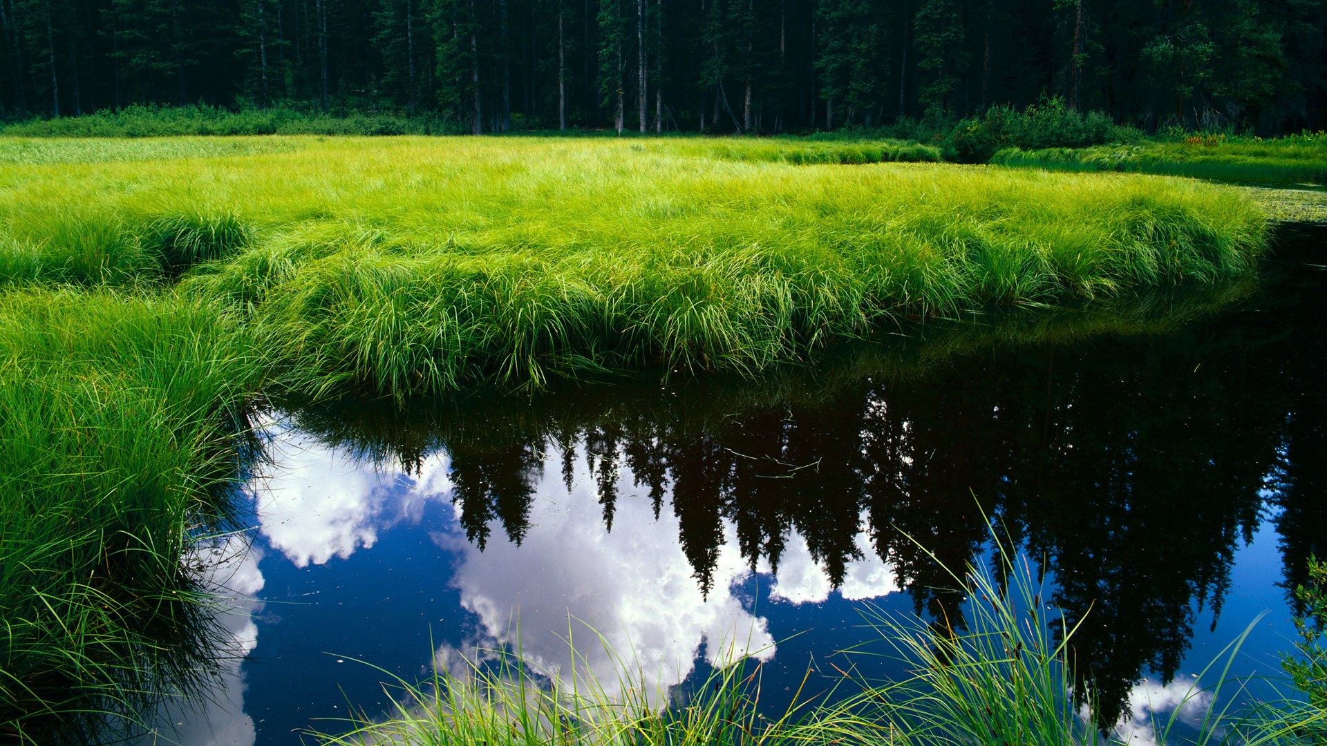 锋刃出鞘，沉默者绝响—伊萨克于群星璀璨之夜写下唯一注脚