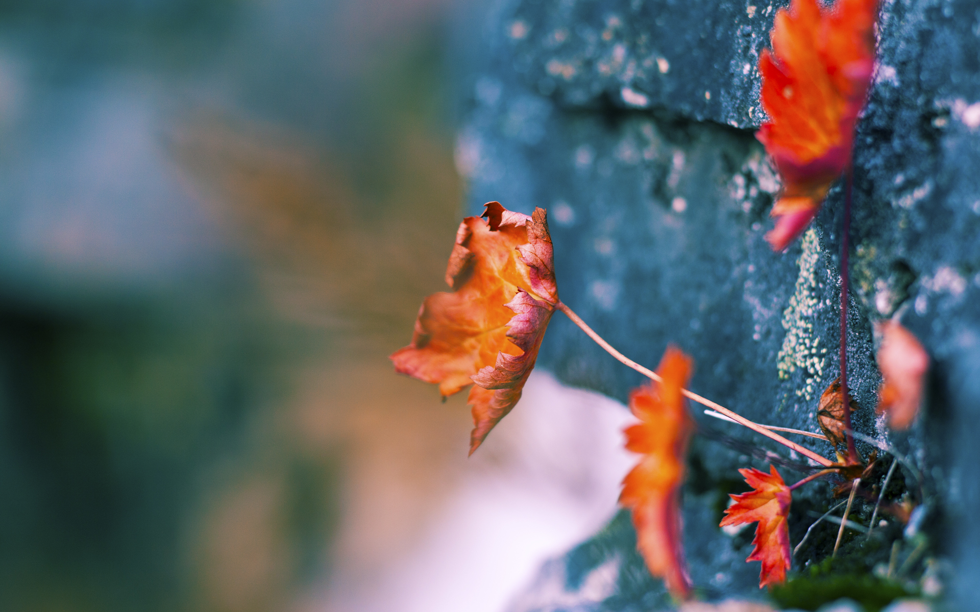 当西决生死战遇上南美狂想曲—阿根廷，一支在末节完成逆转的球队