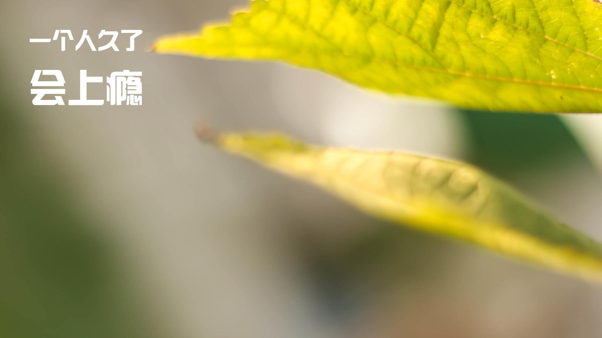 开云体育在线-冰与火之歌，当NBA铁血防守邂逅沙特绿茵风暴