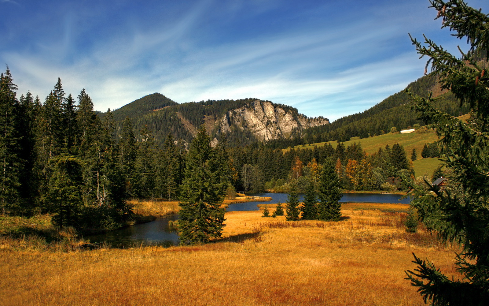 绿茵永动机与沙漠利剑，当赖斯的稳定遭遇阿尔及利亚的突击