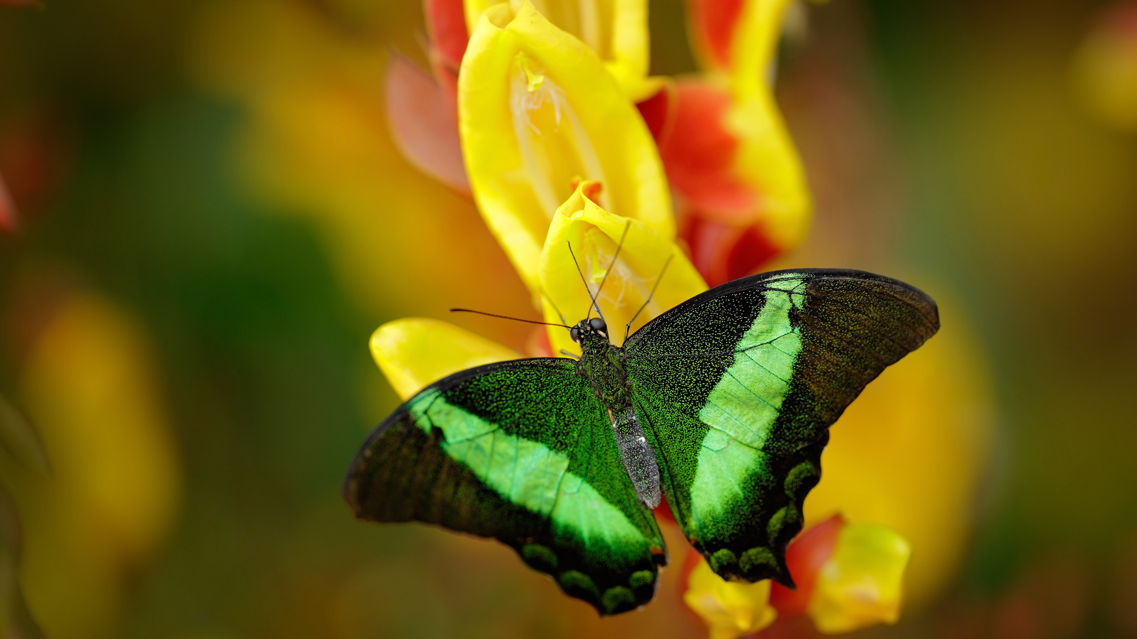 心魔缠斗48分钟，塔图姆最后一秒的呼吸完成救赎