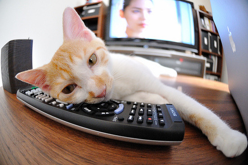 利拉德单骑救主，快船用三分暴雨为雄鹿送葬？同夜双赛揭NBA残酷生存法则