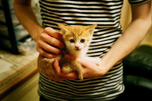 速度与篮筐,F1街道赛焦点战与篮网压倒性胜利的激情周末