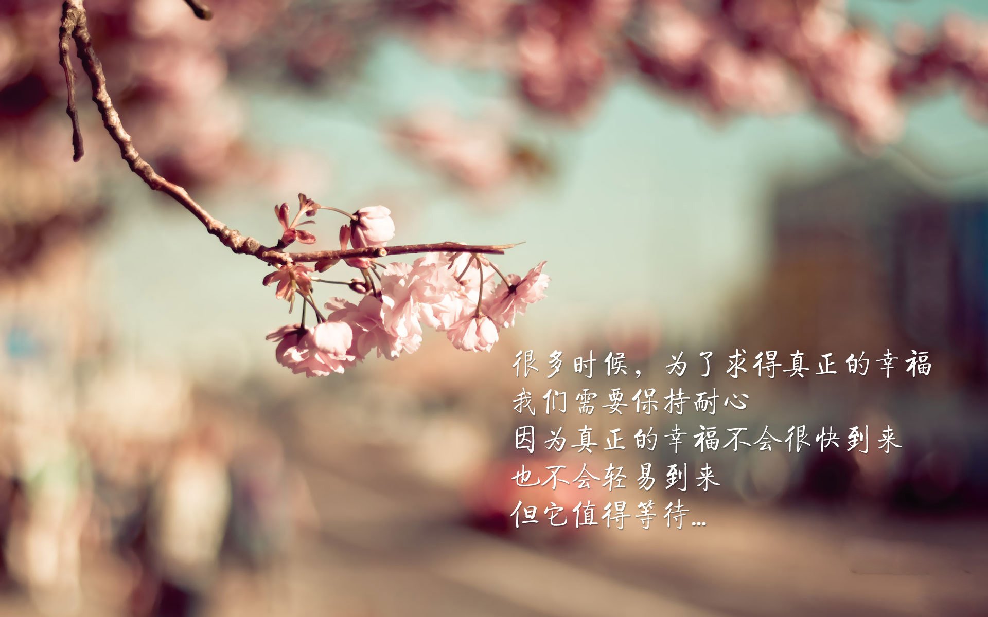 当足球场遇上篮球馆，突尼斯轻取伊朗之夜，楚阿梅尼在NBA接管比赛