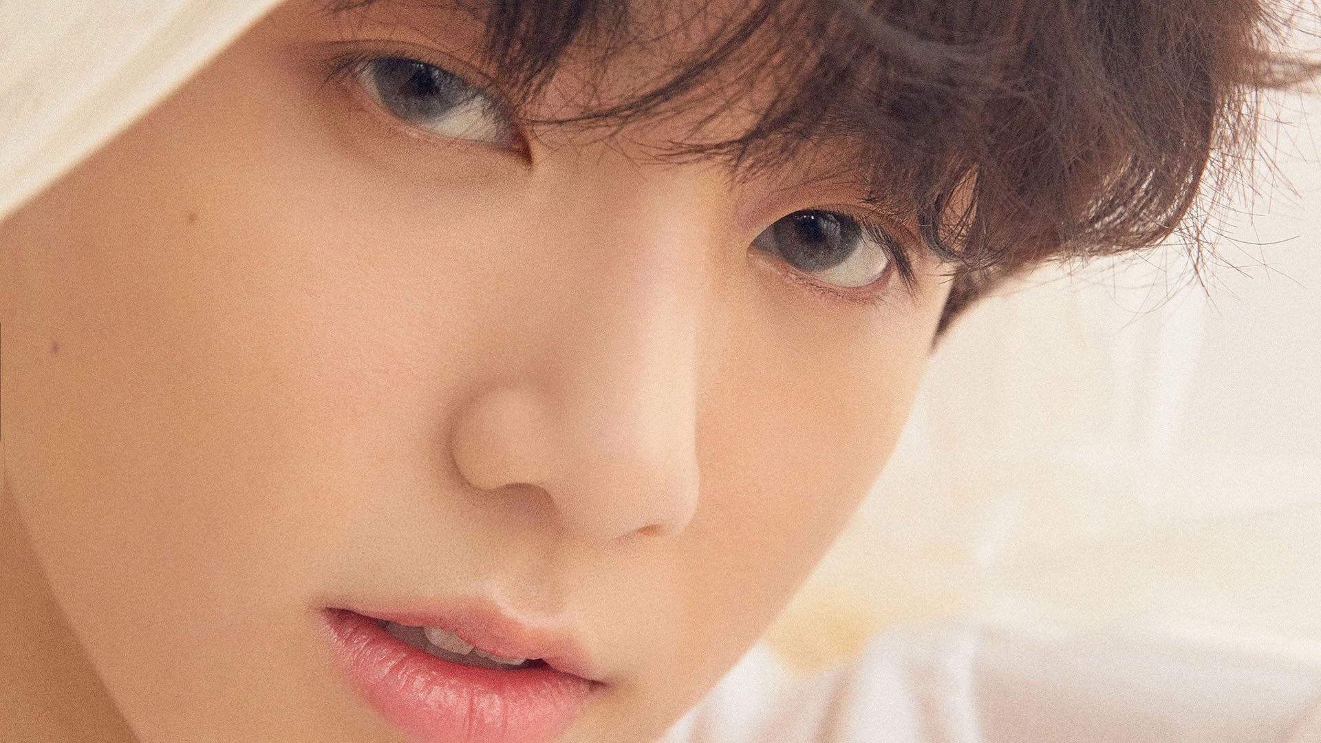 速度与团队，F1年度争冠焦点战与马刺横扫雷霆的胜利交响曲