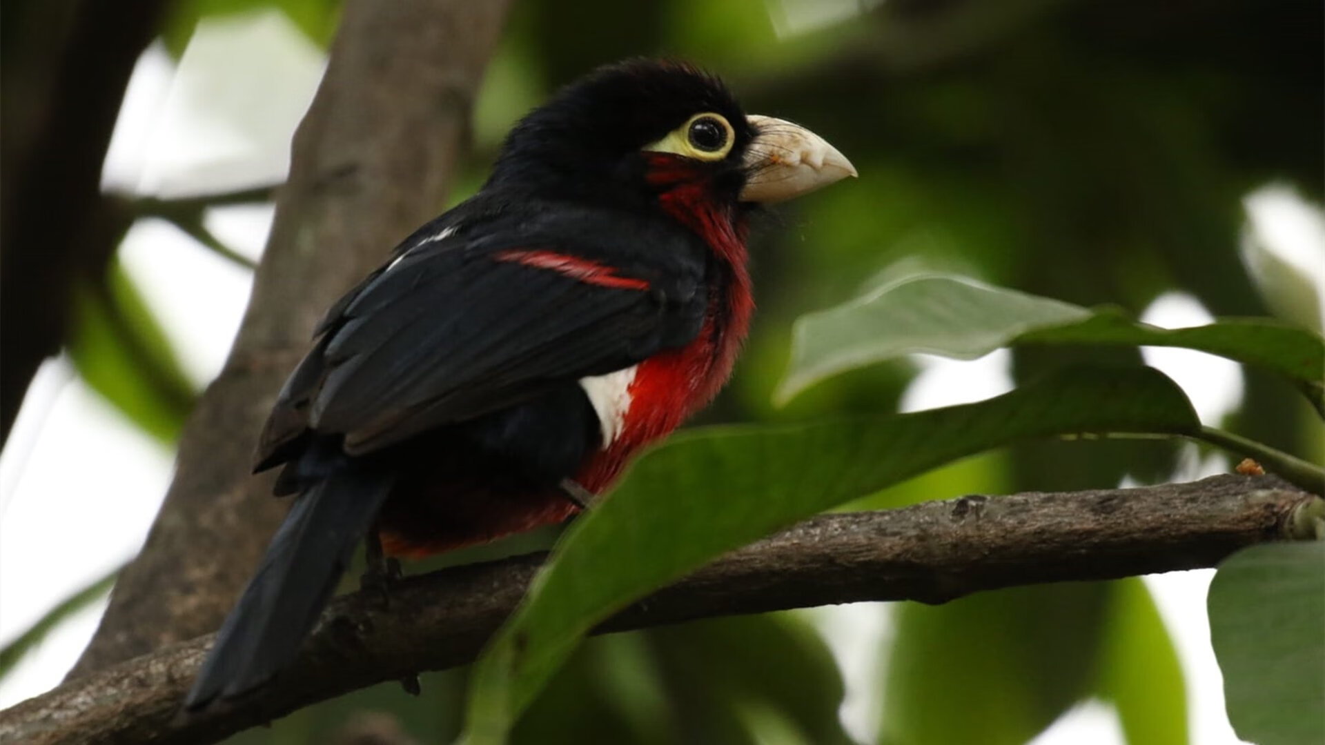 双星耀世，生死战与年度之战铸就的传奇之夜