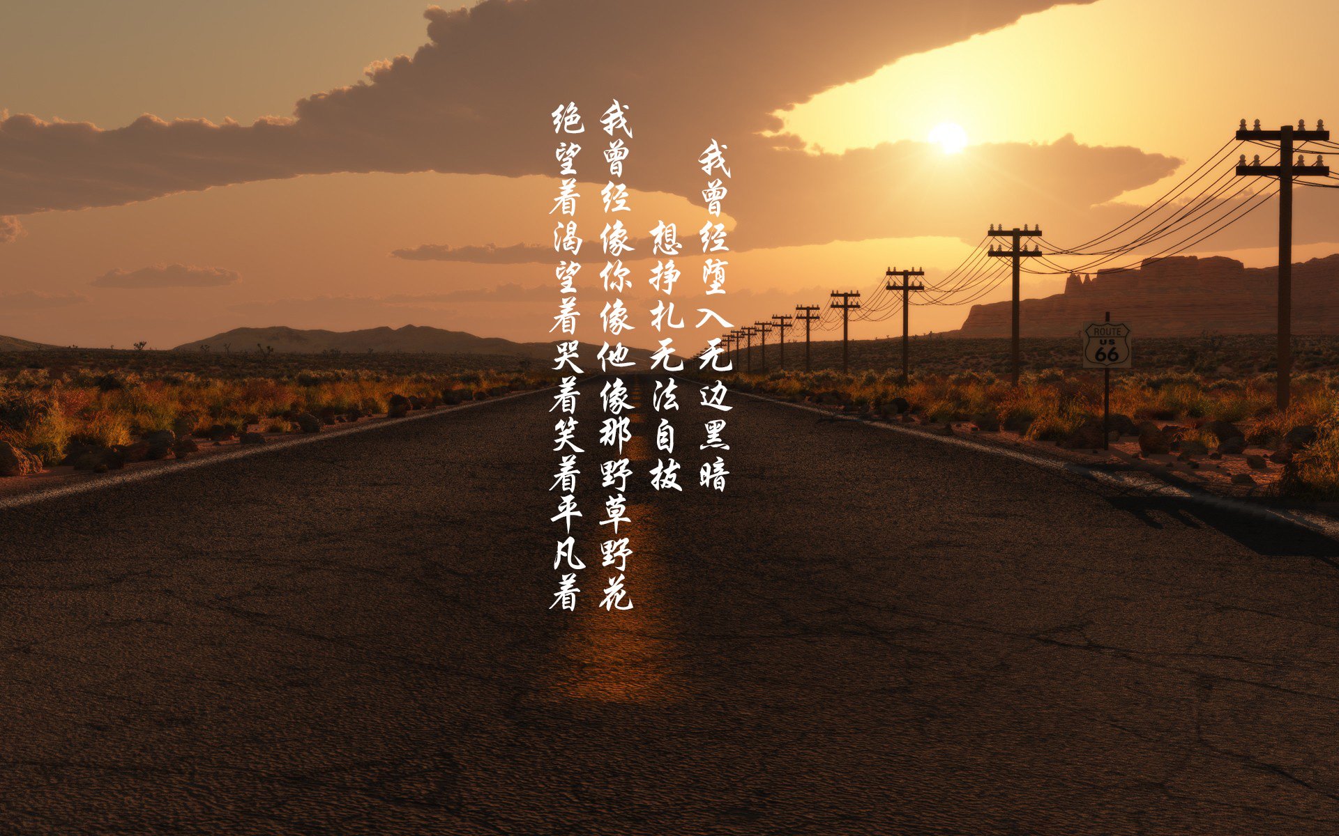 双星闪耀，足球的悲喜与人类的共鸣