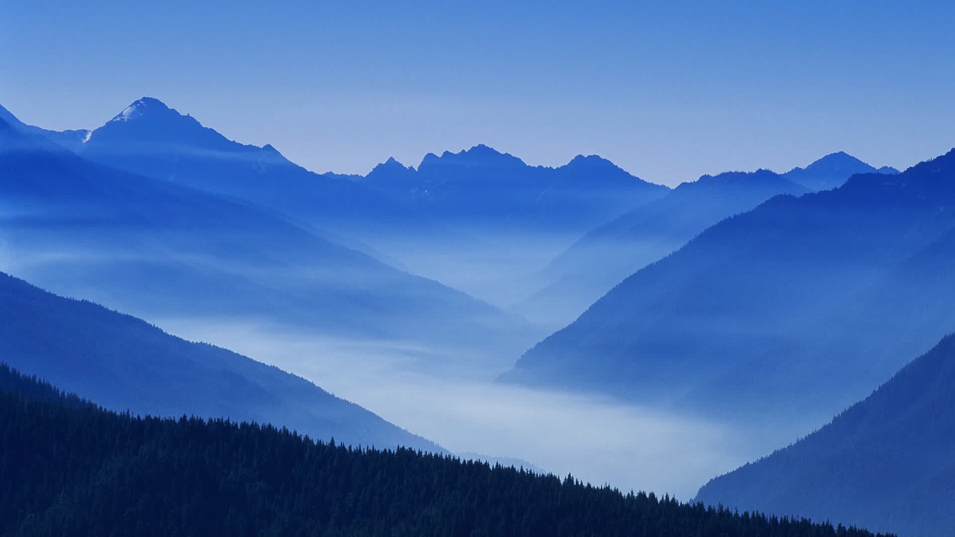 开云体育APP下载-孤星闪耀，当塞尔维亚的铁骑在2026世界杯H组踏碎恒河之梦，阿诺德用一记唯一定义永恒